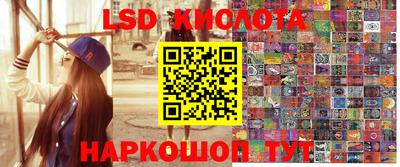 стафф Шебекино