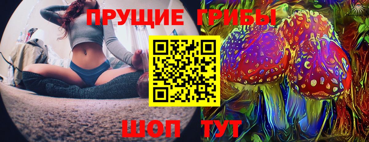 Псилоцибиновые грибы Psilocybine cubensis  Вход с VPN  Аргун  закладки  Псилоцибиновые грибы Cubensis 